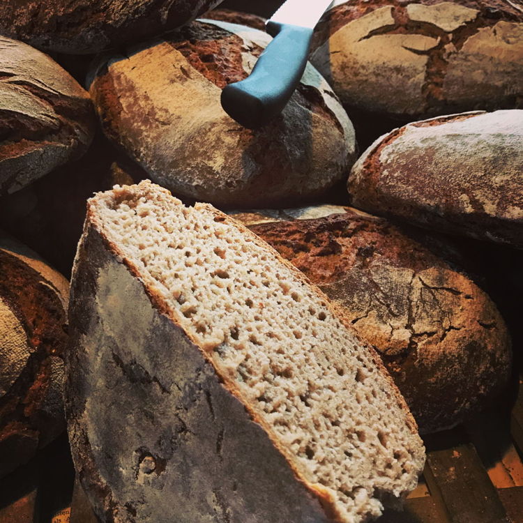 Brotbacken im Backhaus Barrigsen