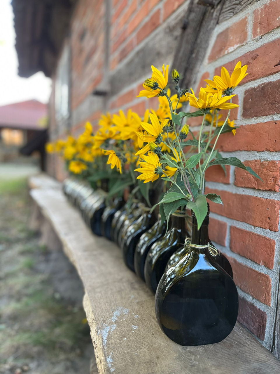 Herbst Backtag 2024 im Backhaus Ahnsbeck